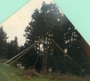 tipiPoles